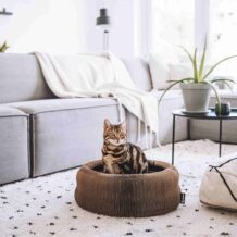 DISTRICT 70 MAZE - Foldable cardboard cat bed