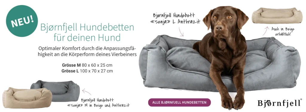 Bjørnfjell Hundebetten für komfortables Liegen