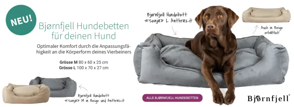 Bjørnfjell Hundebetten in Beige und Grau für komfortable und langlebige Schlafplätze