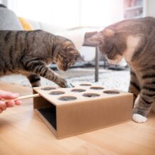 CanadianCat "Acchiappa il topo", gioco di abilità in legno
