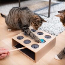 CanadianCat "Acchiappa il topo", gioco di abilità in legno