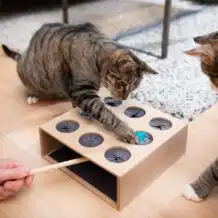 CanadianCat "Attrape la souris" jeu d'adresse en bois