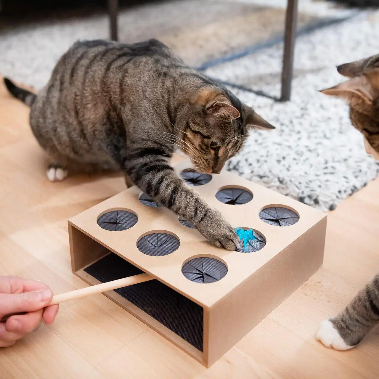 CanadianCat "Fang die Maus" Geschicklichkeitsspiel aus Holz – Image 2
