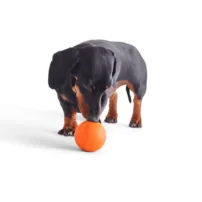 Palla Beco Fetch - Arancione
