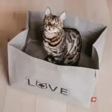 CanadianCat Winnipeg Lit pour chat en papier lavable