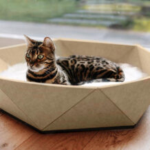 Cestino per gatti CanadianCat "Zoey" - Beige