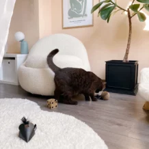 district 70 gift set playset with 3 cat toys