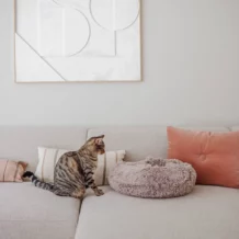 DISTRICT 70 FUZZ - Fluffy cat bed - Sand