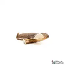 Deer antlers - 2 pieces halved - S