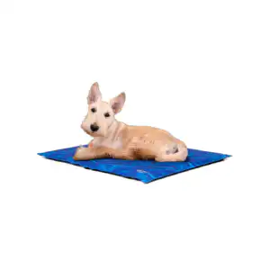 Tapis réfrigérant TrendPet - S - 60 x 45 cm