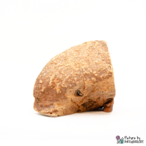 ANIBIO Organic Chewing Root - M