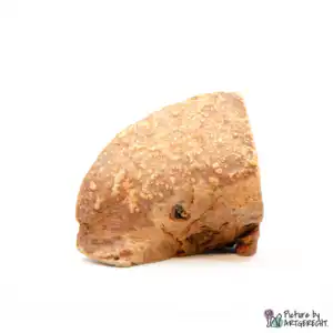 ANIBIO Organic Chewing Root - M