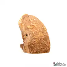 ANIBIO Organic Chewing Root - M