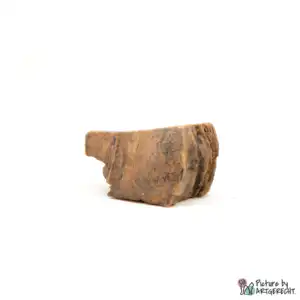 ANIBIO Organic Chewing Root - S