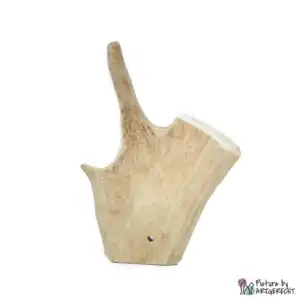Fallow deer shovel - M