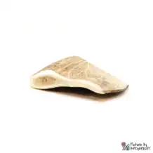 Pala di daino - S