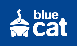 blue cat