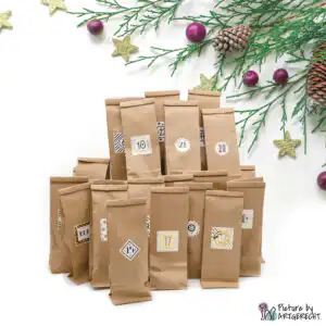 LIONSLIKE Advent Calendar 2025 for cats