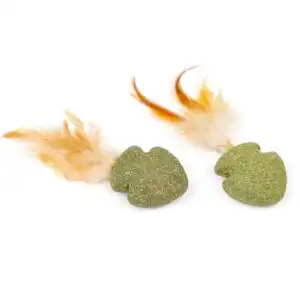 Nuggets d'herbe à chat CanadianCat avec plume