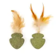 Nuggets d'herbe à chat CanadianCat avec plume
