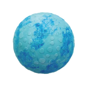 WOLTERS Dog Fun Ball - Saut & Flottaison - M - Bleu
