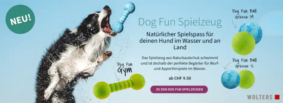 WOLTERS Dog Fun Hundespielzeug aus Naturkautschuk für Spiel, Apportieren und Wasserspass
