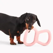 Beco Tough Tugger - Pink