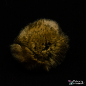 LIONSLIKE cat toy - Edelrex balls
