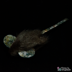 LIONSLIKE cat toy - glitter mouse with spelt filling