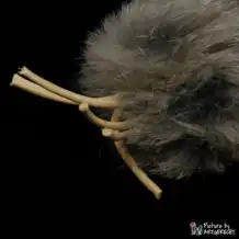 LIONSLIKE cat toy - chew sticks with rabbit fur