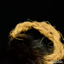 LIONSLIKE cat toy - coconut ring muskrat