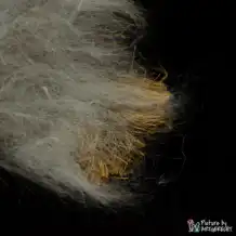 LIONSLIKE Jouets pour chats - Manila Mouton à peluche