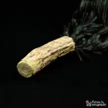 LIONSLIKE cat toy - Matabi litter feather