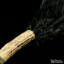 LIONSLIKE cat toy - Matabi litter feather