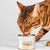Lucky-Kitty Anatra - 200 g