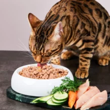 Lucky-Kitty Duck - 200 g