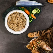 Lucky-Kitty Fish - 200 g