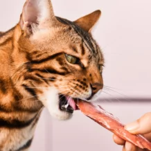 Lucky-Kitty Filet-Sticks - 4 pieces - Duck