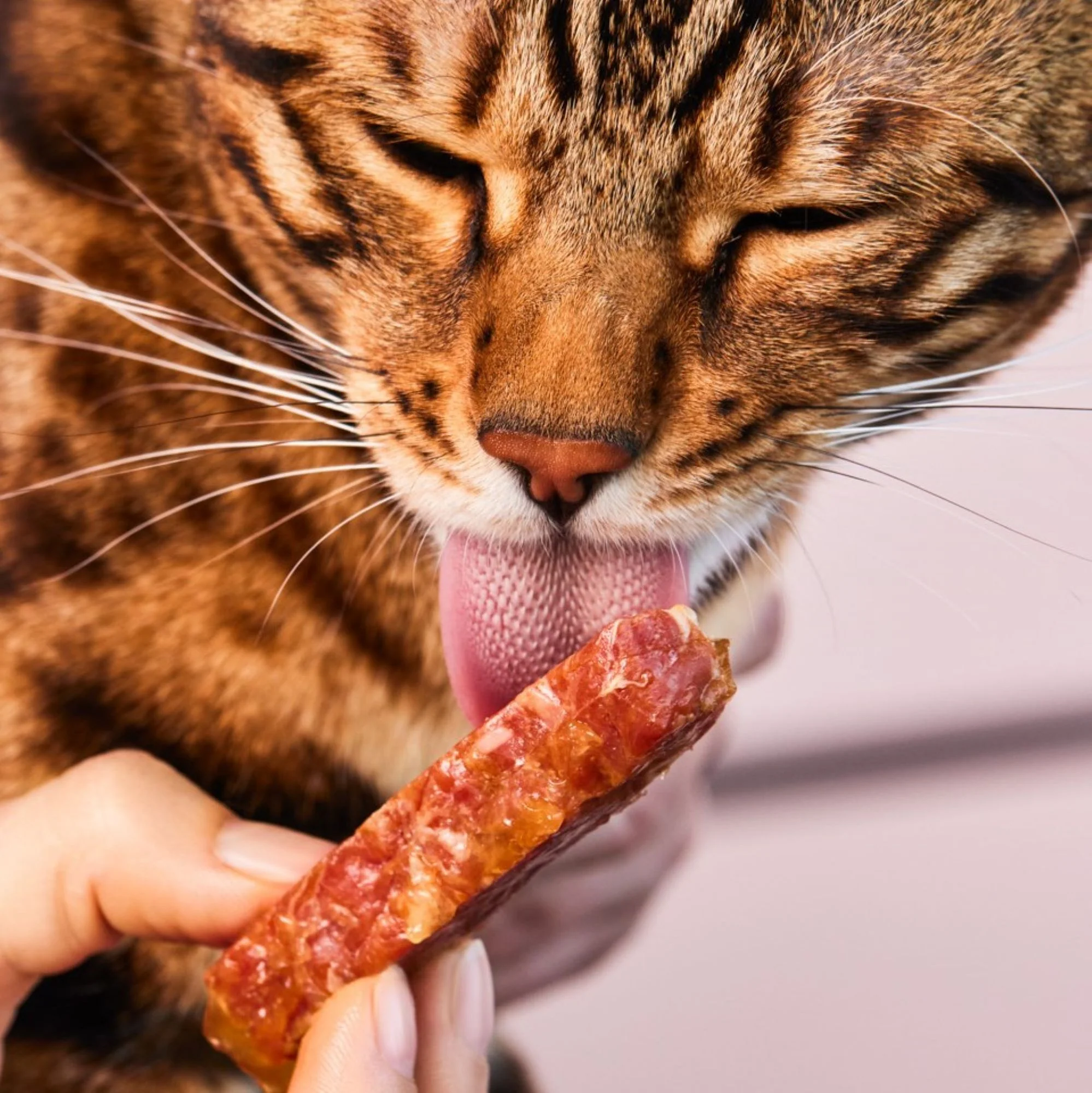 Lucky-Kitty Filet-Sticks - 4 Stück - Kaninchen - immagine 2