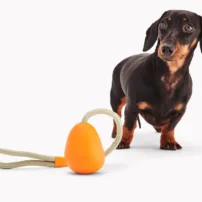 Beco Slinger Pebble - Arancione