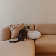 DISTRICT 70 RIBBA - Cat bed - Greige