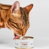 Lucky-Kitty Mouse - 100 g