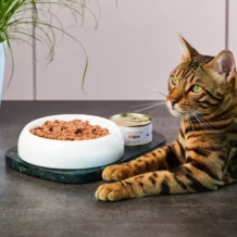 Lucky-Kitty souris - 100 g