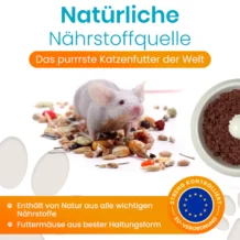Lucky-Kitty souris - 100 g