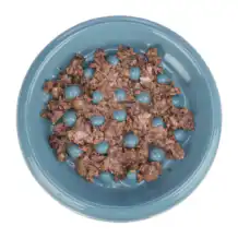 TRiXiE Ciotola in ceramica ad alimentazione lenta - Benzina