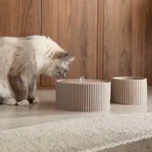 DISTRICT 70 SENSE - Fontana in ceramica - Beige