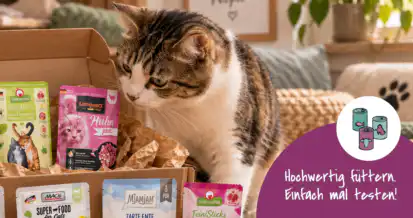 Probierpaket mit hochwertigem Katzenfutter
