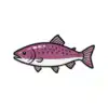 ARTGERECHT. Confezione degustazione - 21 articoli - con pesce