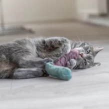 TRiXiE Kissenrollen - Katzenminze - 4 Stk.