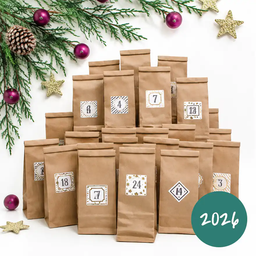 LIONSLIKE Katzen Adventskalender 2026 - 24-teilig